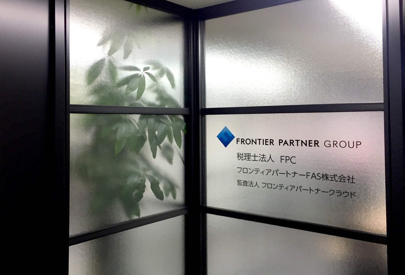写真: