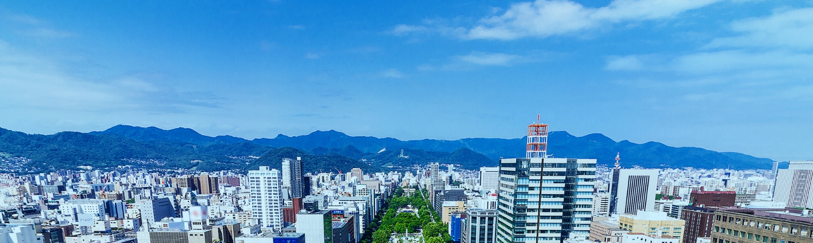 写真：三洋ビジネスマシン株式会社